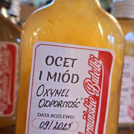 Oxymel – ocet i miód